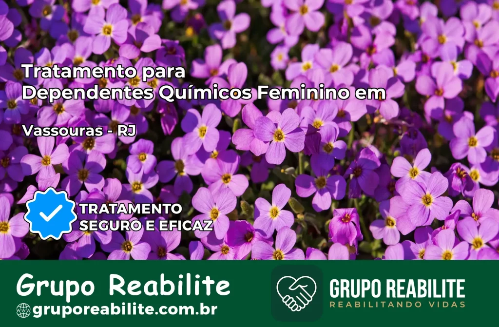 Tratamento para Dependentes Químicos Feminino em Vassouras – RJ