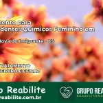 Tratamento para Dependentes Químicos Feminino em Venda Nova do Imigrante – ES