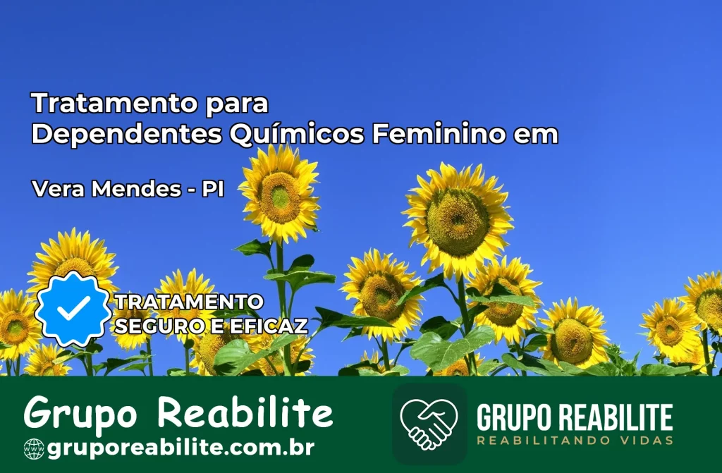 Tratamento para Dependentes Químicos Feminino em Vera Mendes – PI