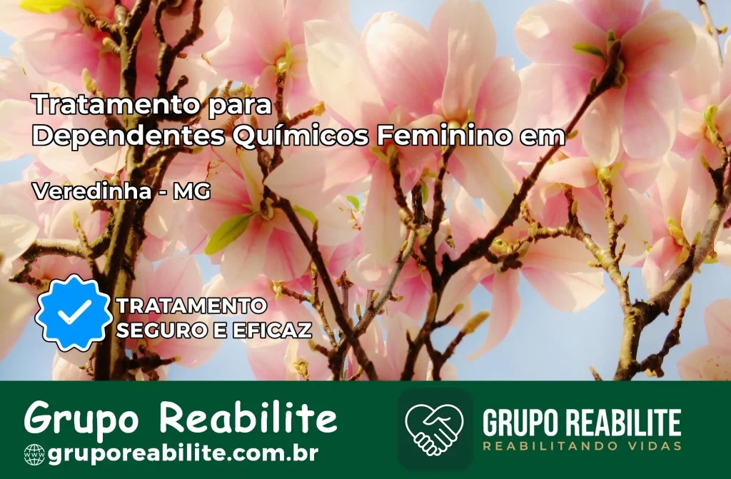 Tratamento para Dependentes Químicos Feminino em Veredinha – MG