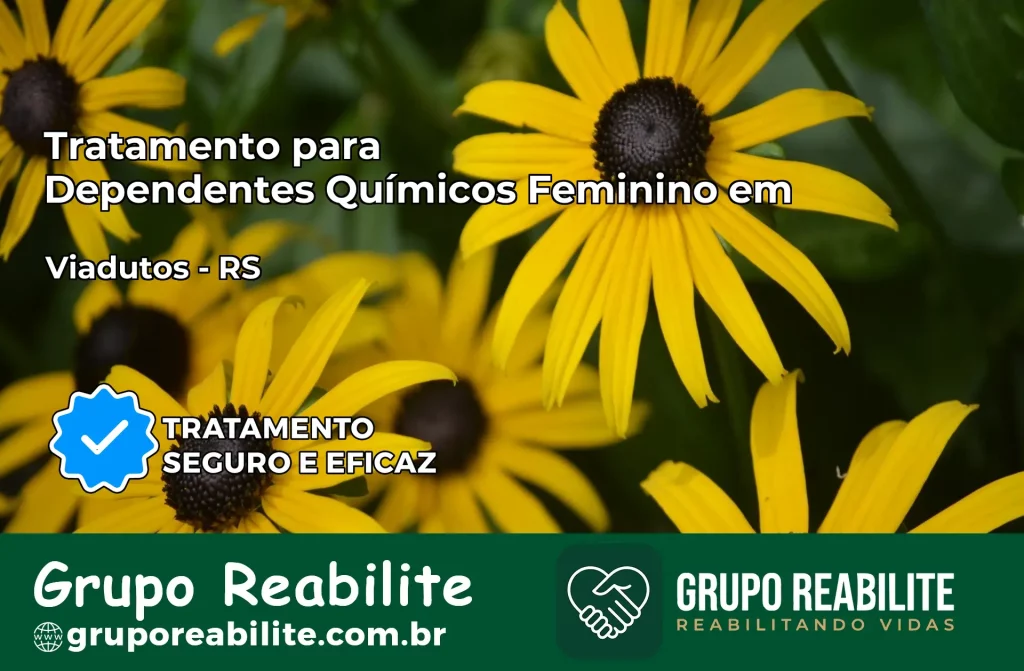 Tratamento para Dependentes Químicos Feminino em Viadutos – RS