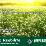 Tratamento para Dependentes Químicos Feminino em Videira – SC