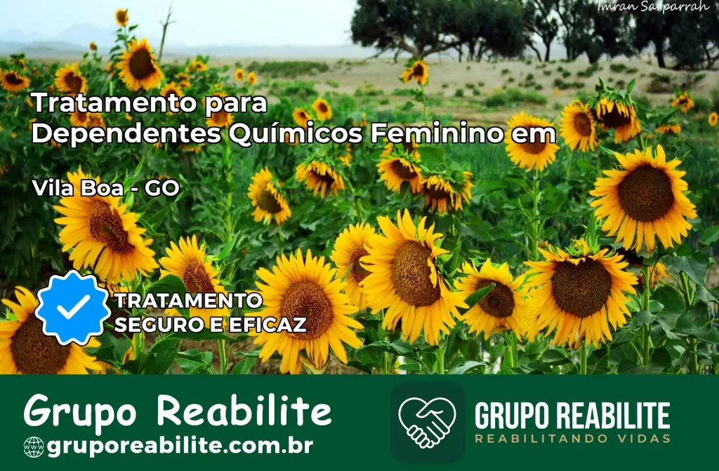 Tratamento para Dependentes Químicos Feminino em Vila Boa – GO