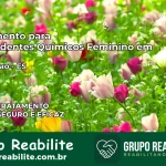 Tratamento para Dependentes Químicos Feminino em Vila Pavão – ES