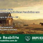 Tratamento para Dependentes Químicos Feminino em Vista Alegre do Prata – RS