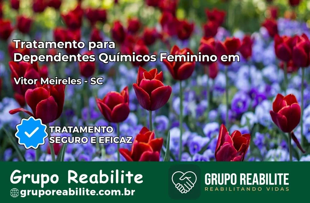 Tratamento para Dependentes Químicos Feminino em Vitor Meireles – SC