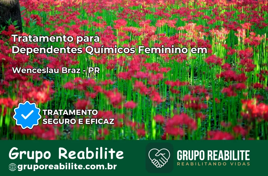 Tratamento para Dependentes Químicos Feminino em Vera Cruz do Oeste – PR
