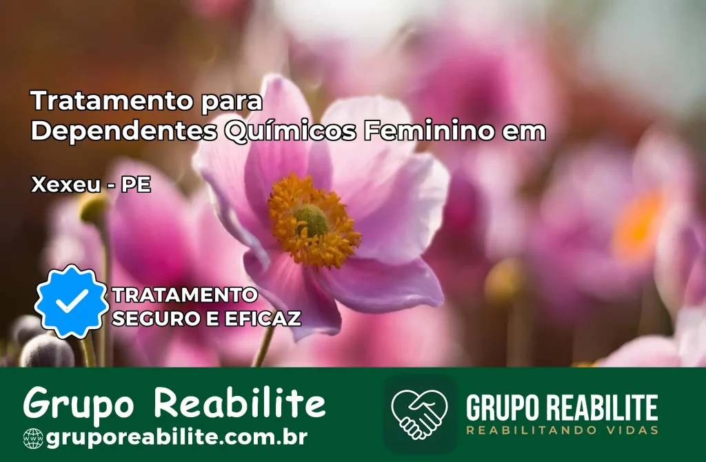Tratamento para Dependentes Químicos Feminino em Xexéu – PE