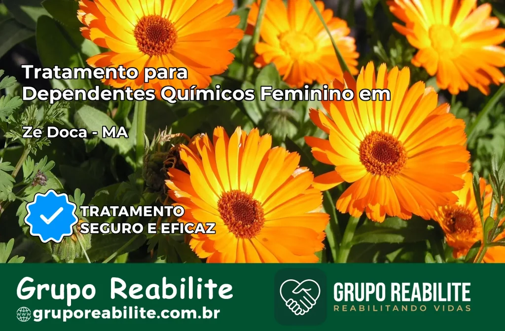 Tratamento para Dependentes Químicos Feminino em Zé Doca – MA