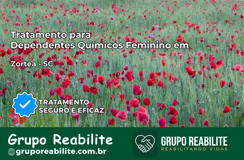 Tratamento para Dependentes Químicos Feminino em Zortéa – SC
