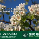 Tratamento Vício em Jogos Online em Acorizal | Tigrinho, Aviator, Slots