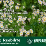 Tratamento Vício em Jogos Online em Alagoinha do Piauí | Tigrinho, Aviator, Slots
