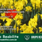 Tratamento Vício em Jogos Online em Alegrete do Piauí | Tigrinho, Aviator, Slots