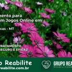 Tratamento Vício em Jogos Online em Alto Garças | Tigrinho, Aviator, Slots