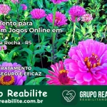 Tratamento Vício em Jogos Online em André da Rocha | Tigrinho, Aviator, Slots