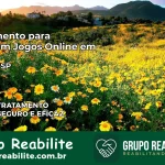 Tratamento Vício em Jogos Online em Araras | Tigrinho, Aviator, Slots