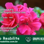 Tratamento Vício em Jogos Online em Barra do Corda | Tigrinho, Aviator, Slots