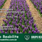 Tratamento Vício em Jogos Online em Bela Vista da Caroba | Tigrinho, Aviator, Slots