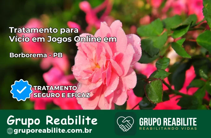 Tratamento Vício em Jogos Online em Borborema | Tigrinho, Aviator, Slots