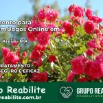 Tratamento Vício em Jogos Online em Brejo de Areia | Tigrinho, Aviator, Slots