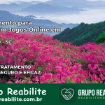 Tratamento Vício em Jogos Online em Brusque | Tigrinho, Aviator, Slots