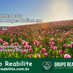 Tratamento Vício em Jogos Online em Caatiba | Tigrinho, Aviator, Slots