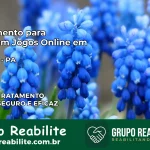 Tratamento Vício em Jogos Online em Cametá | Tigrinho, Aviator, Slots