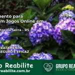Tratamento Vício em Jogos Online em Campestre da Serra | Tigrinho, Aviator, Slots