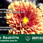 Tratamento Vício em Jogos Online em Campinas | Tigrinho, Aviator, Slots
