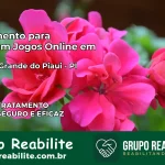 Tratamento Vício em Jogos Online em Campo Grande do Piauí | Tigrinho, Aviator, Slots
