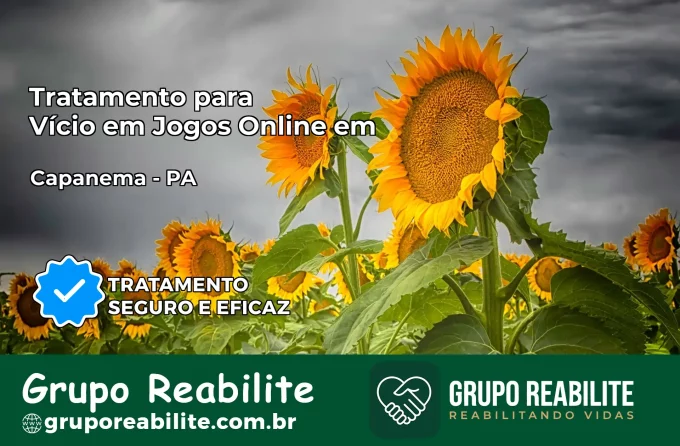 Tratamento Vício em Jogos Online em Capanema | Tigrinho, Aviator, Slots