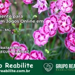 Tratamento Vício em Jogos Online em Capitólio | Tigrinho, Aviator, Slots