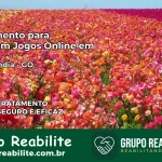 Tratamento Vício em Jogos Online em Castelândia | Tigrinho, Aviator, Slots