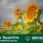Tratamento Vício em Jogos Online em Colina | Tigrinho, Aviator, Slots