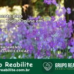 Tratamento Vício em Jogos Online em Conchal | Tigrinho, Aviator, Slots
