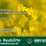 Tratamento Vício em Jogos Online em Coronel João Sá | Tigrinho, Aviator, Slots