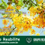 Tratamento Vício em Jogos Online em Floresta Azul | Tigrinho, Aviator, Slots
