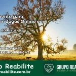Tratamento Vício em Jogos Online em Floresta do Piauí | Tigrinho, Aviator, Slots