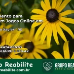 Tratamento Vício em Jogos Online em Gramado Xavier | Tigrinho, Aviator, Slots