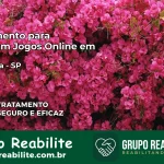 Tratamento Vício em Jogos Online em Guapiara | Tigrinho, Aviator, Slots