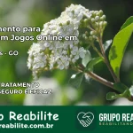Tratamento Vício em Jogos Online em Guarinos | Tigrinho, Aviator, Slots