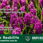 Tratamento Vício em Jogos Online em Ibiracatu | Tigrinho, Aviator, Slots