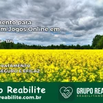 Tratamento Vício em Jogos Online em Ipecaetá | Tigrinho, Aviator, Slots
