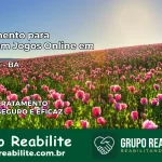 Tratamento Vício em Jogos Online em Ipupiara | Tigrinho, Aviator, Slots