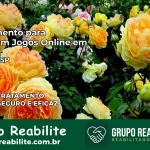 Tratamento Vício em Jogos Online em Itajobi | Tigrinho, Aviator, Slots