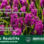 Tratamento Vício em Jogos Online em Jaguaquara | Tigrinho, Aviator, Slots