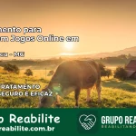 Tratamento Vício em Jogos Online em Jaguaraçu | Tigrinho, Aviator, Slots