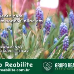 Tratamento Vício em Jogos Online em Lagoinha | Tigrinho, Aviator, Slots