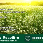 Tratamento Vício em Jogos Online em Lunardelli | Tigrinho, Aviator, Slots