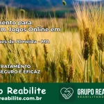 Tratamento Vício em Jogos Online em Magalhães de Almeida | Tigrinho, Aviator, Slots